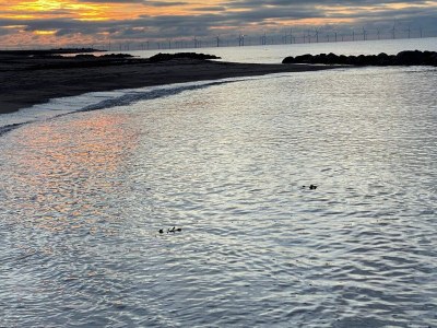 Holiday house Tranquil Haven near Beach - By Traum Ferienwohnungen - Outdoor photo 6