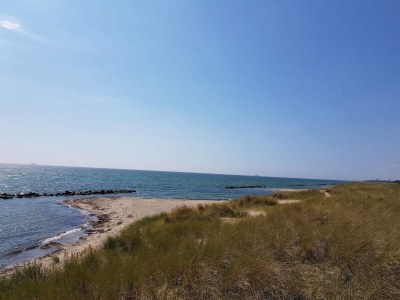 Holiday house Tranquil Haven near Beach - By Traum Ferienwohnungen - Outdoor photo 8