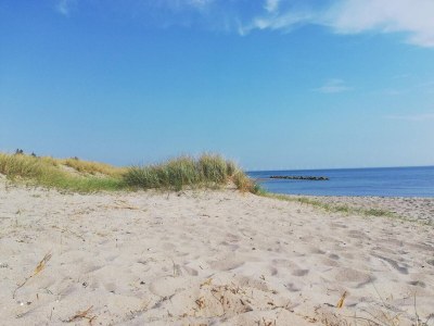 Holiday house Tranquil Haven near Beach - By Traum Ferienwohnungen - Outdoor photo 28