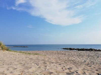 Holiday house Tranquil Haven near Beach - By Traum Ferienwohnungen - Outdoor photo 32