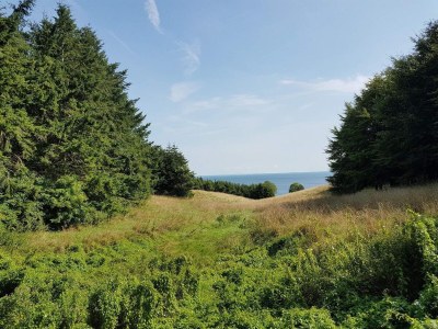 Holiday house Marina Ruckzug in Aero -- By Traum Ferienwohnungen - Outdoor photo 13