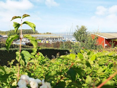 Holiday house Marina Ruckzug in Aero -- By Traum Ferienwohnungen - Outdoor photo 16