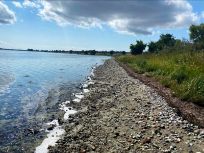 Holiday house Marina Ruckzug in Aero -- By Traum Ferienwohnungen - Outdoor photo 29