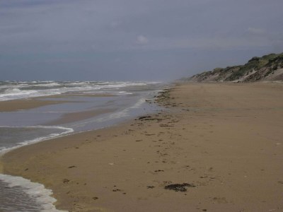 Holiday house 5 person holiday home in Skagen-By Traum - Outdoor photo 20