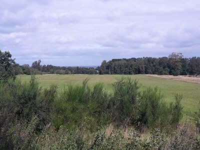 Holiday house 6 Personen Ferienhaus in Glesborg-By Traum - Outdoor photo 22