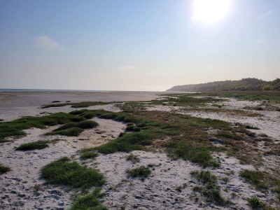 Holiday house 6 Personen Ferienhaus in Glesborg-By Traum - Outdoor photo 32