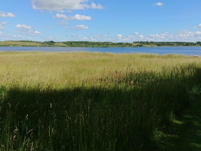 Holiday house 6 Personen Ferienhaus in Højslev-By Traum - Outdoor photo 9