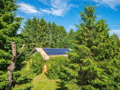 Holiday house 6 Personen Ferienhaus in Højslev-By Traum - Outdoor photo 12