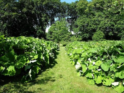Holiday house 6 Personen Ferienhaus in Højslev-By Traum - Outdoor photo 19