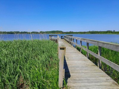 Holiday house 6 Personen Ferienhaus in Højslev-By Traum - Outdoor photo 20