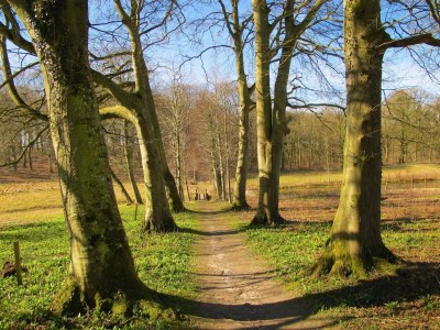 Holiday house 6 Personen Ferienhaus in Højslev-By Traum - Outdoor photo 29