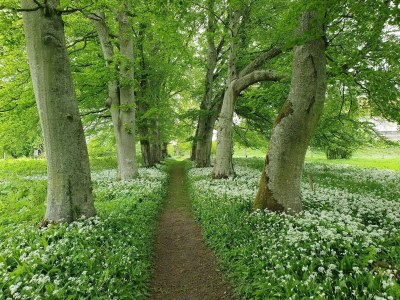 Holiday house 6 Personen Ferienhaus in Højslev-By Traum - Outdoor photo 30