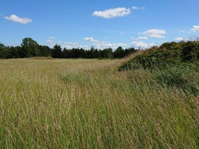 Holiday house 6 Personen Ferienhaus in Højslev-By Traum - Outdoor photo 32