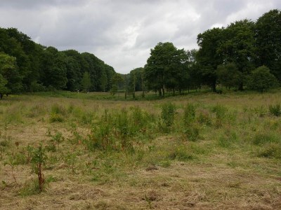 Holiday house 6 Personen Ferienhaus in Højslev-By Traum - Outdoor photo 33