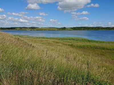 Holiday house 6 Personen Ferienhaus in Højslev-By Traum - Outdoor photo 34