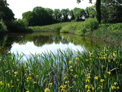 Holiday house 6 Personen Ferienhaus in Højslev-By Traum - Outdoor photo 36
