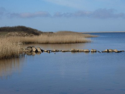 Holiday house 6 Personen Ferienhaus in Hemmet-By Traum - Outdoor photo 41