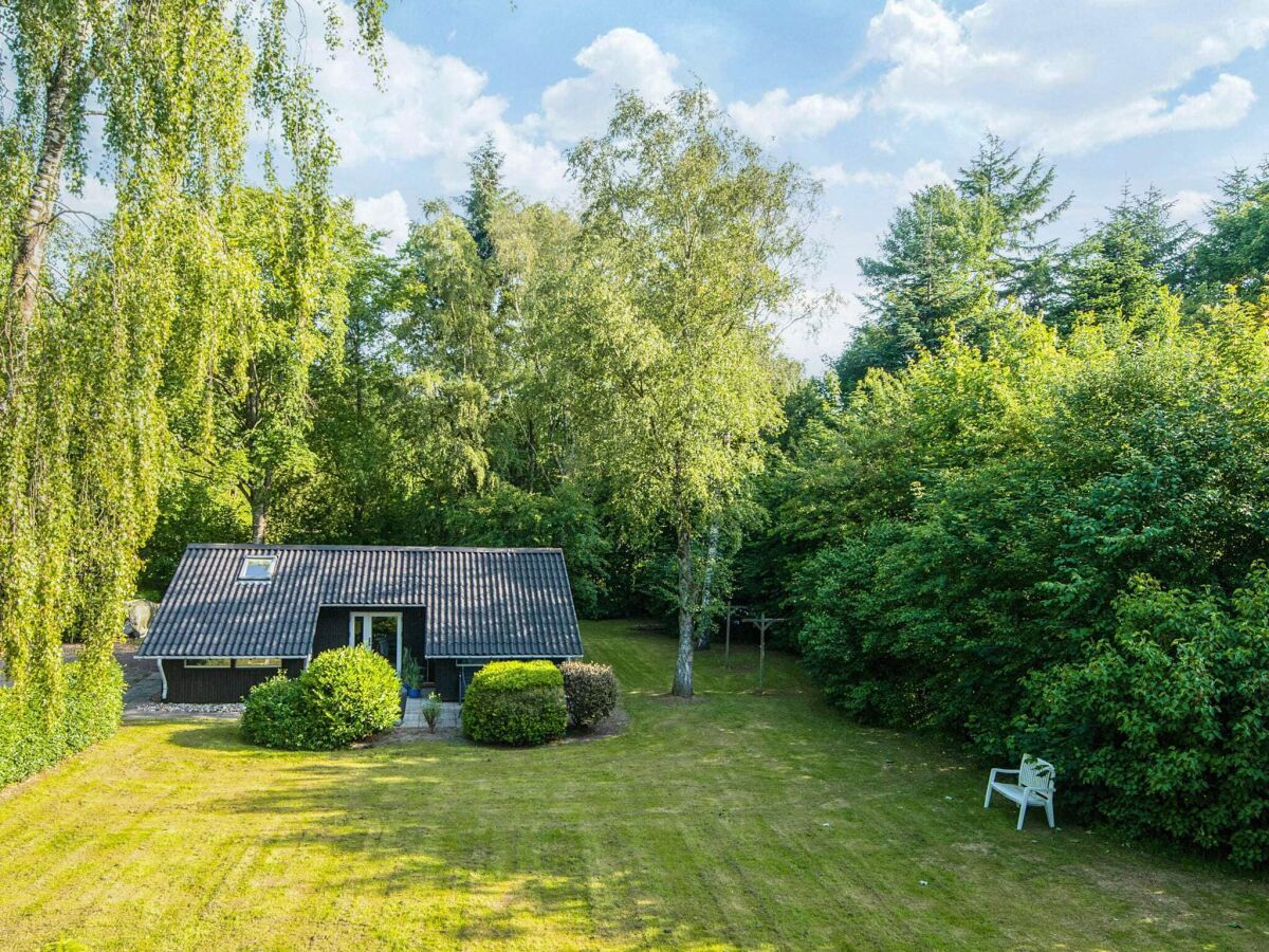 Holiday house Family Cottage with Terrace and Lawn - Outdoor photo 3