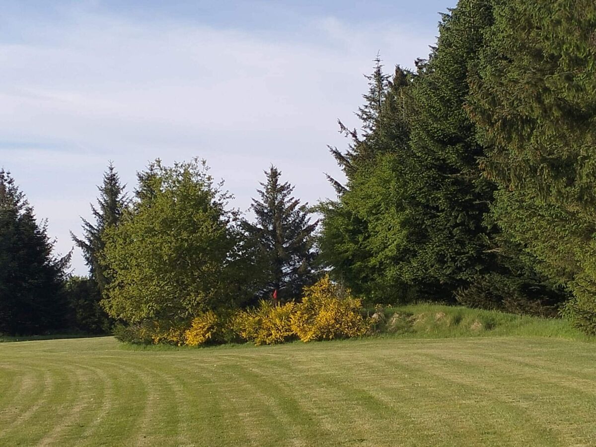 Holiday house Family Cottage with Terrace and Lawn - Outdoor photo 4