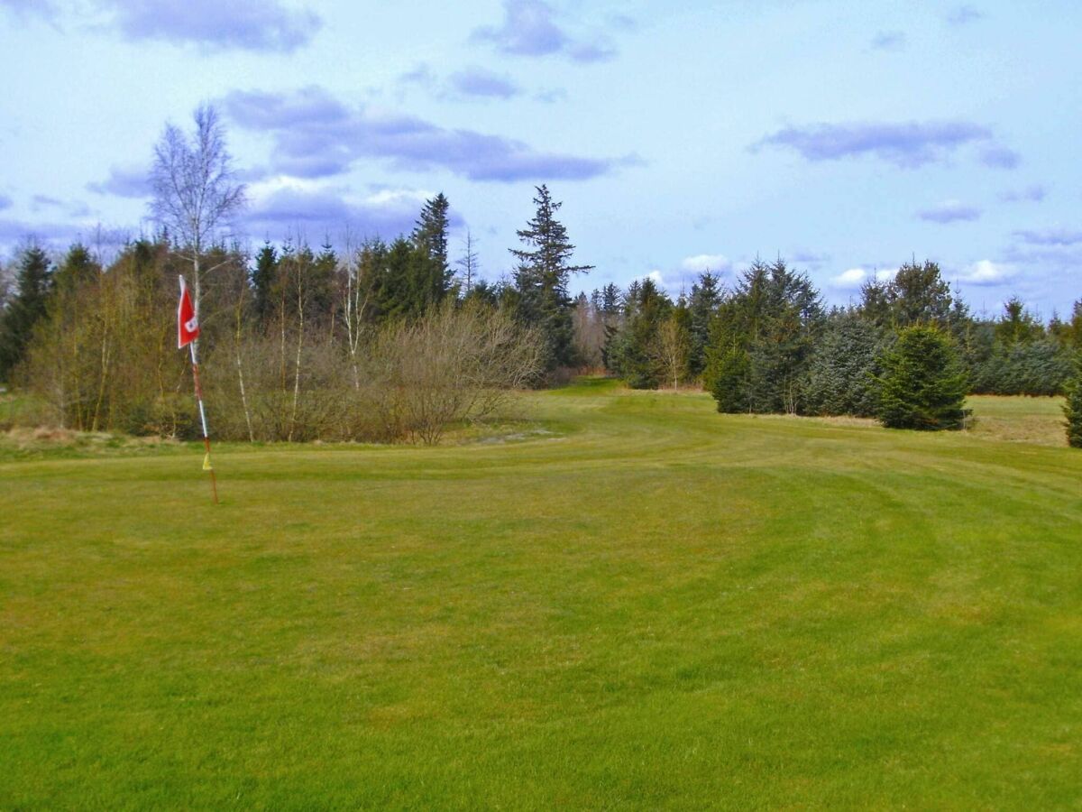 Holiday house Family Cottage with Terrace and Lawn - Outdoor photo 5