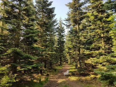 Holiday house Family Cottage with Terrace and Lawn - Outdoor photo 12