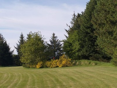 Holiday house Family Cottage with Terrace and Lawn - Outdoor photo 14