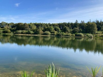 Holiday house Family Cottage with Terrace and Lawn - Outdoor photo 16