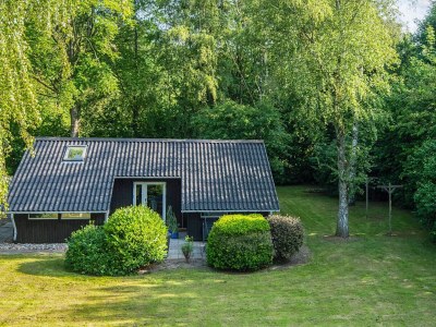 Holiday house Family Cottage with Terrace and Lawn - Outdoor photo 32