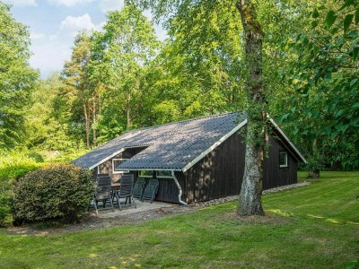 Holiday house Family Cottage with Terrace and Lawn - Outdoor photo 33