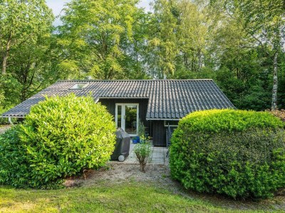 Holiday house Family Cottage with Terrace and Lawn - Outdoor photo 36