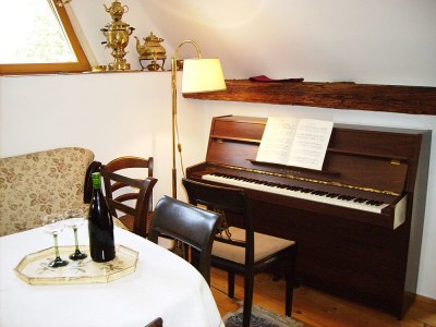 Holiday apartment Maisonette im Saal - Features photo 11