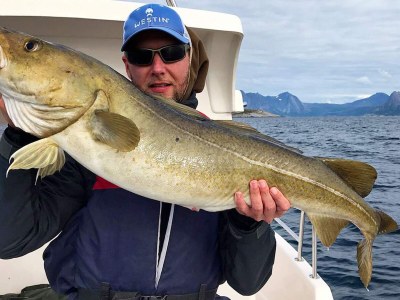 Holiday house 10 Personen Ferienhaus in Kaldfarnes-By Traum - Outdoor photo 7