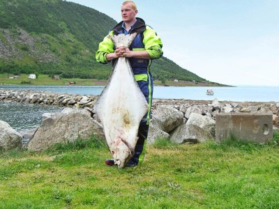 Holiday house 10 Personen Ferienhaus in Kaldfarnes-By Traum - Outdoor photo 22