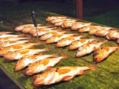Holiday house 10 Personen Ferienhaus in Kaldfarnes-By Traum - Outdoor photo 27