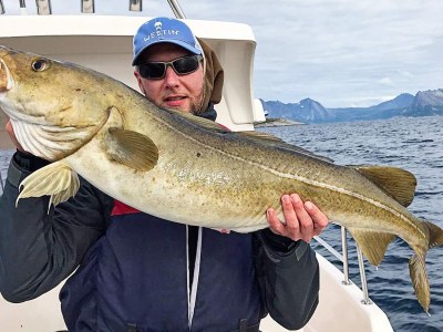 Holiday house 10 Personen Ferienhaus in Kaldfarnes-By Traum - Outdoor photo 29