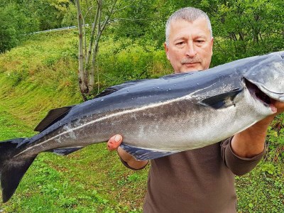 Holiday house 10 Personen Ferienhaus in Kaldfarnes-By Traum - Outdoor photo 36