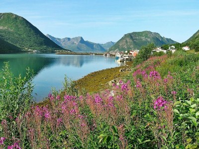 Holiday house 10 Personen Ferienhaus in Kaldfarnes-By Traum - Outdoor photo 43