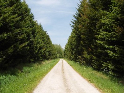 Holiday house 6 person holiday home in Storvorde-By Traum - Outdoor photo 10