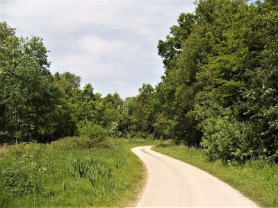 Holiday house 6 person holiday home in Storvorde-By Traum - Outdoor photo 11