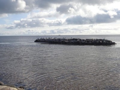 Holiday house 6 person holiday home in Storvorde-By Traum - Outdoor photo 14