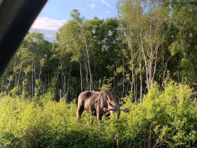 Holiday house 6 person holiday home in Storvorde-By Traum - Outdoor photo 17