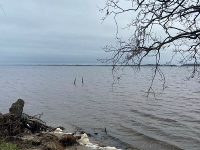 Holiday house 6 person holiday home in Storvorde-By Traum - Outdoor photo 18