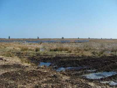 Holiday house 6 person holiday home in Storvorde-By Traum - Outdoor photo 26