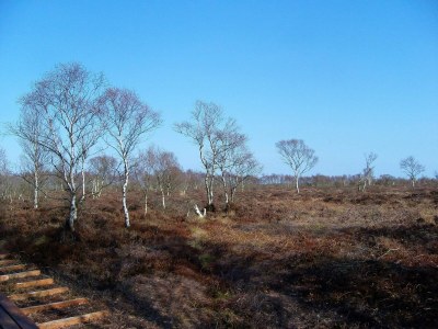 Holiday house 6 person holiday home in Storvorde-By Traum - Outdoor photo 33