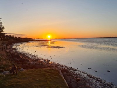 Holiday house 6 person holiday home in Storvorde-By Traum - Outdoor photo 36