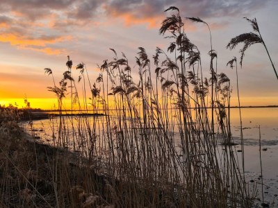 Holiday house 6 person holiday home in Storvorde-By Traum - Outdoor photo 37
