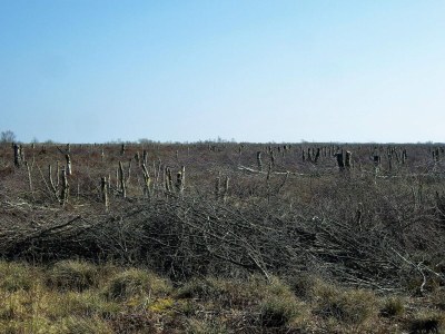 Holiday house 6 person holiday home in Storvorde-By Traum - Outdoor photo 38