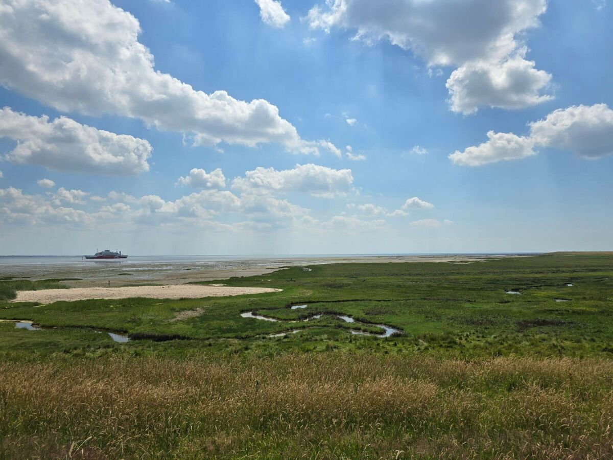 Apartment 4 person holiday home in Rømø-By Traum - Outdoor photo 3