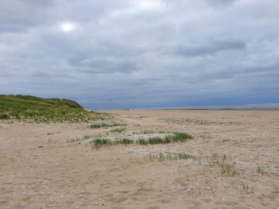 Apartment 4 person holiday home in Rømø-By Traum - Outdoor photo 7