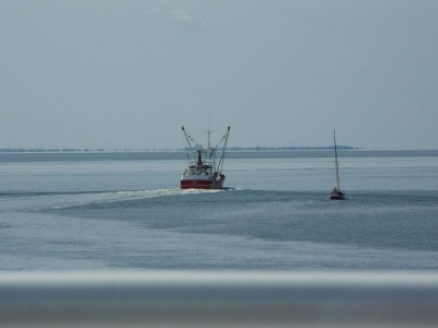 Apartment 4 person holiday home in Rømø-By Traum - Outdoor photo 9